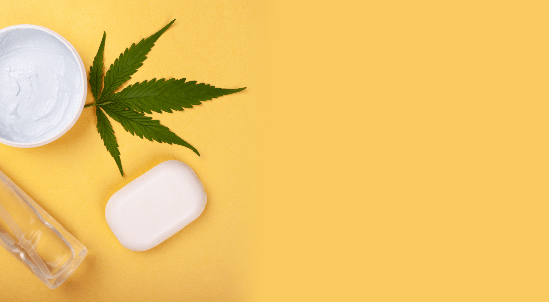 نایب رئیس انجمن